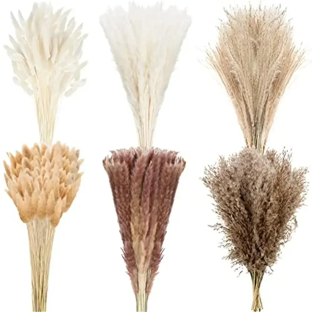 XMSJ Bulk Dried Pampas Grass Decor Set 325 Pieces In 6 Styles For Elegant Home Decor