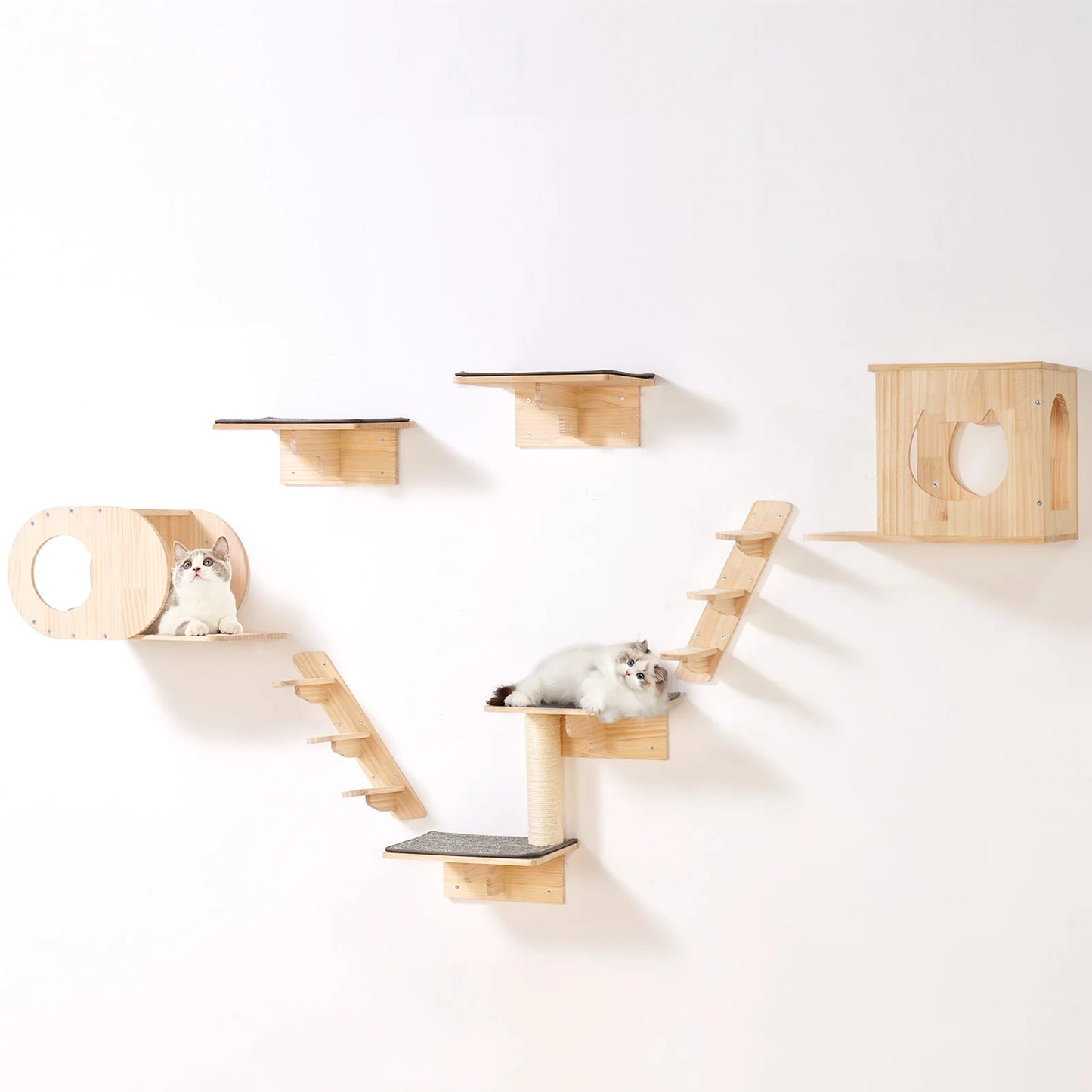 SucceBuy Wall Mounted Cat Shelves and Perches for Cats